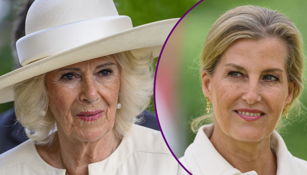 Queen Camilla issues speech on 'brutal' war in Ukraine as she attends dinner with Duchess Sophie