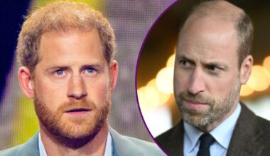 Prince Harry urged to return to UK despite William's 'tough view' over 'betrayal'