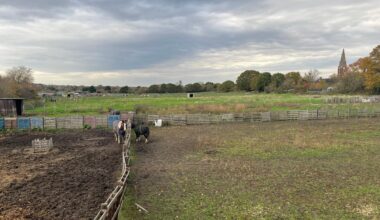 Huge opposition to 2,000 homes planned on London green belt