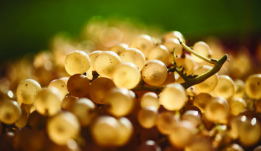 Ripe for discovery: 10 jewels of Central and Eastern Europe