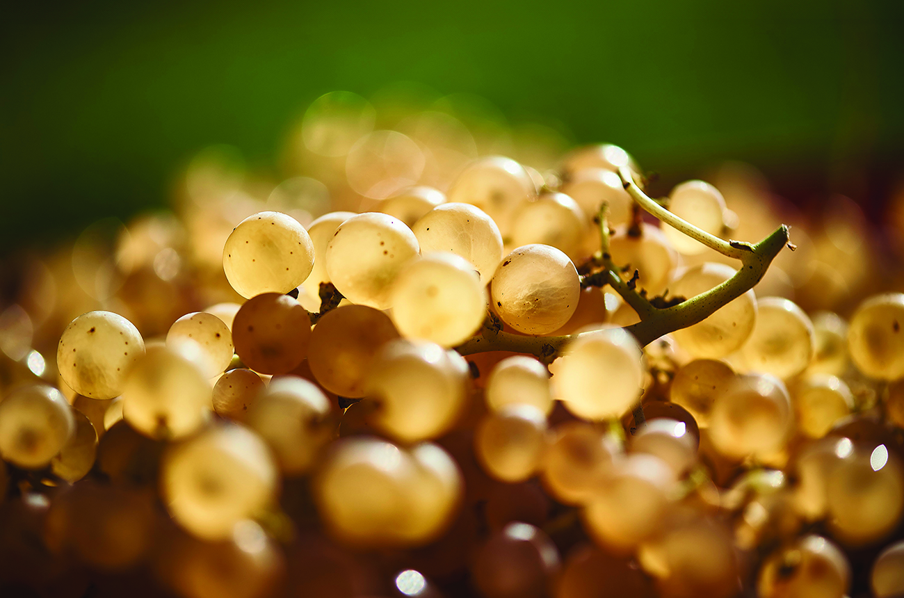 Ripe for discovery: 10 jewels of Central and Eastern Europe