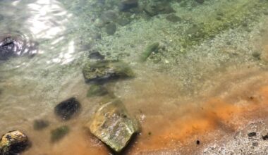 RESPONSE - Empowering the Black Sea to face conflict-induced marine pollution