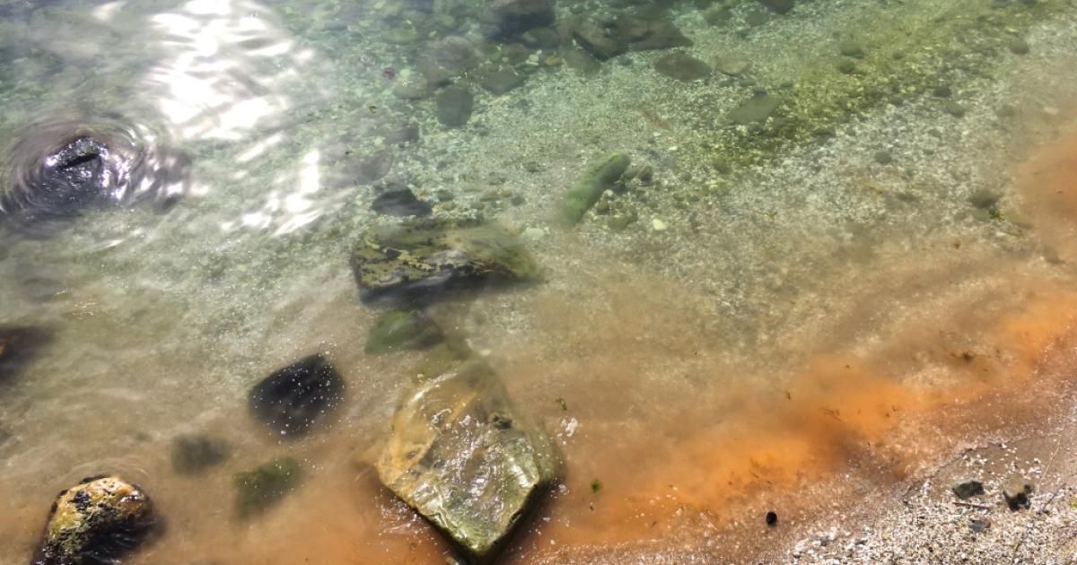 RESPONSE - Empowering the Black Sea to face conflict-induced marine pollution