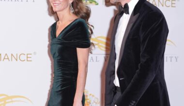 Kate dazzles in velvet gown as she attends Royal Variety Performance with William - London Evening Standard