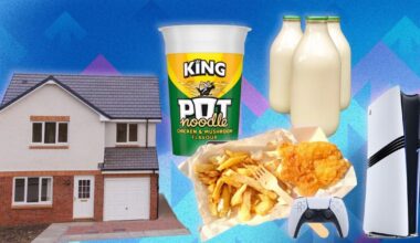 How much did your favourite items cost in 1995 vs 2025? A price comparison