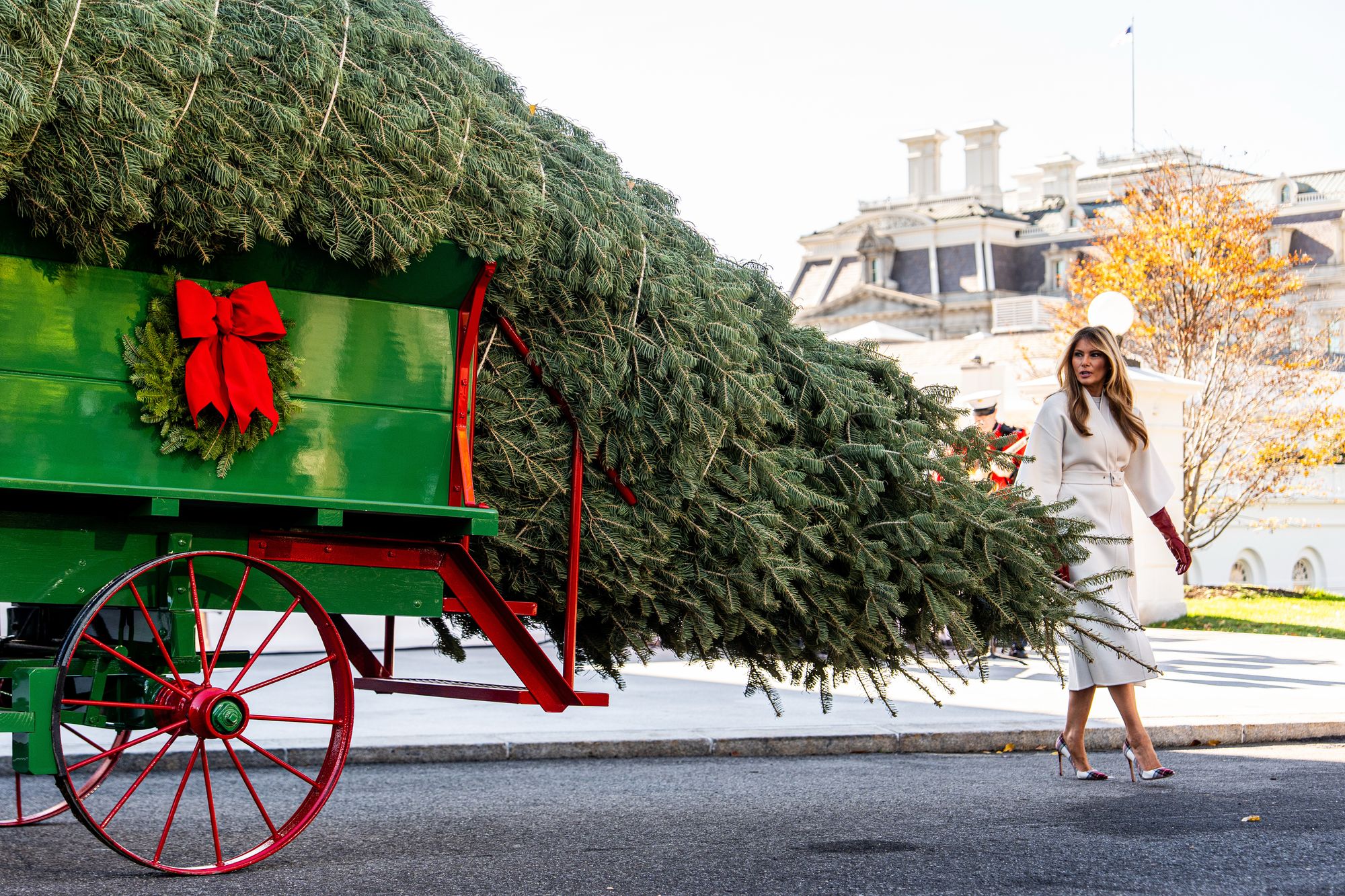 First Lady Melania Trump made a brief appearance in front of reporters to welcome the 2025 White House Christmas tree