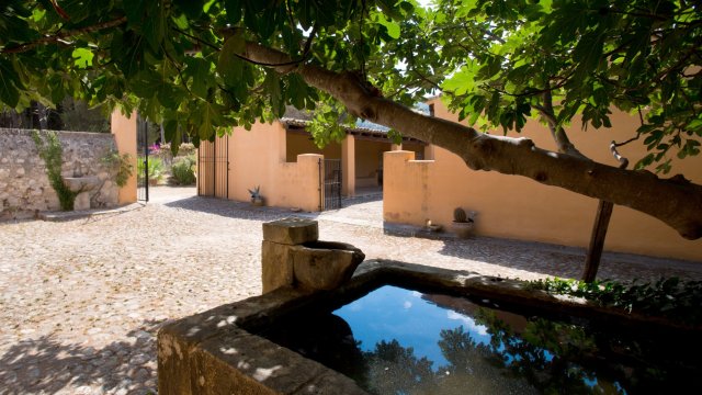 Article thumbnail image