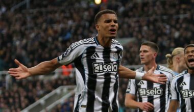 Newcastle have discovered the 'gold standard' of transfers