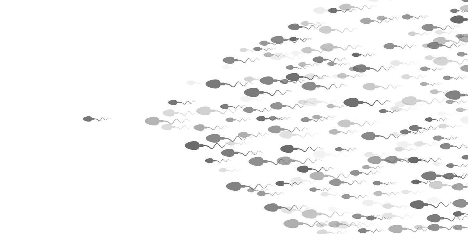 Scientists catch sperm ignoring a major law of physics