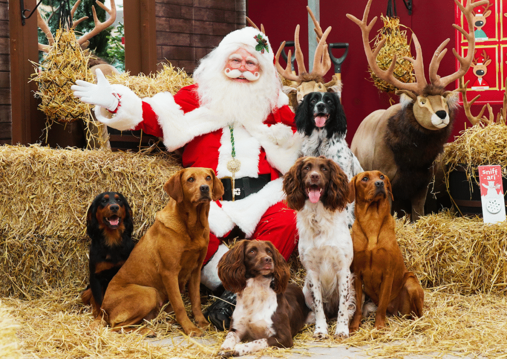 Santa Paws is coming to Dobbies