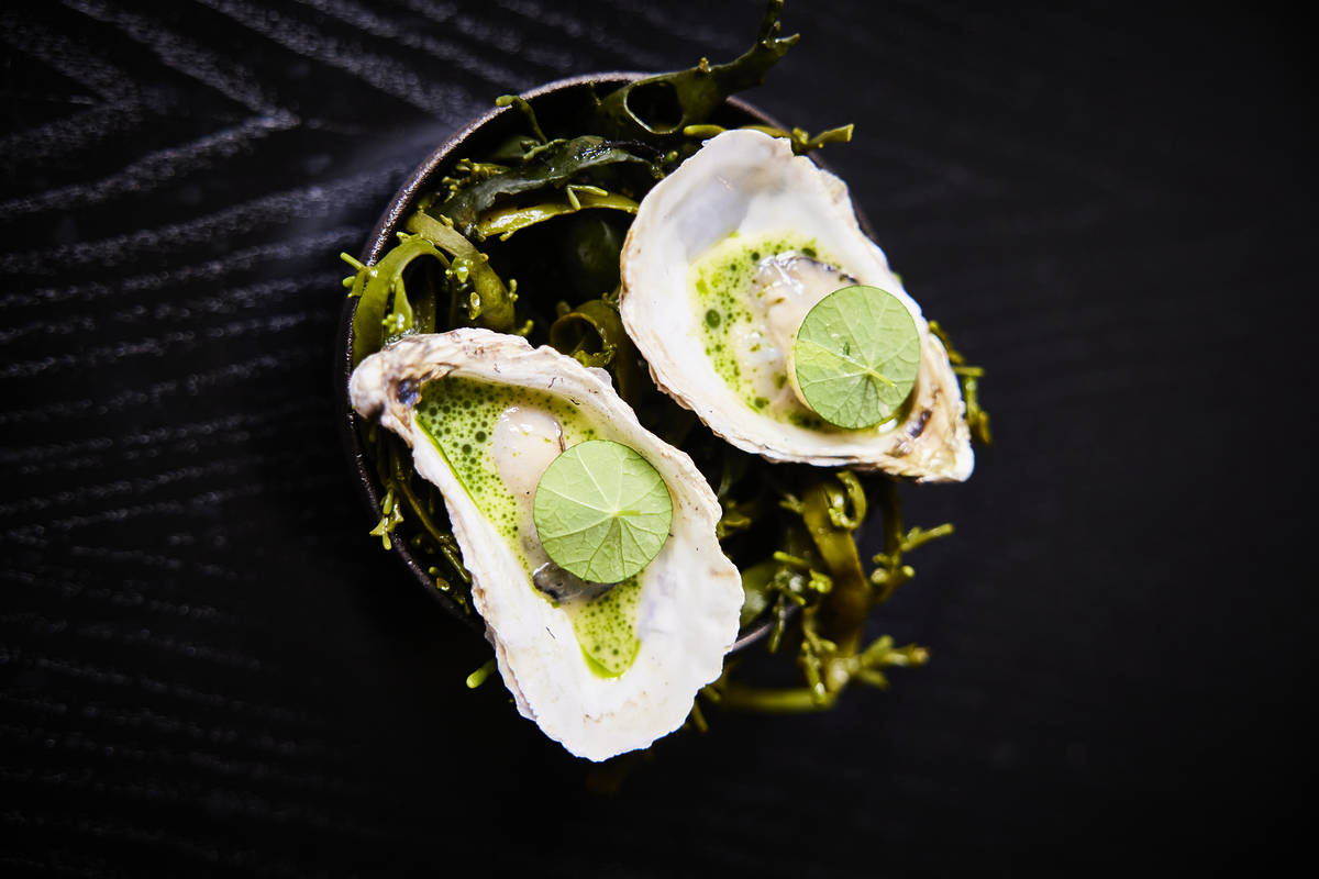 two oyster dressed with green herbs and garnishes