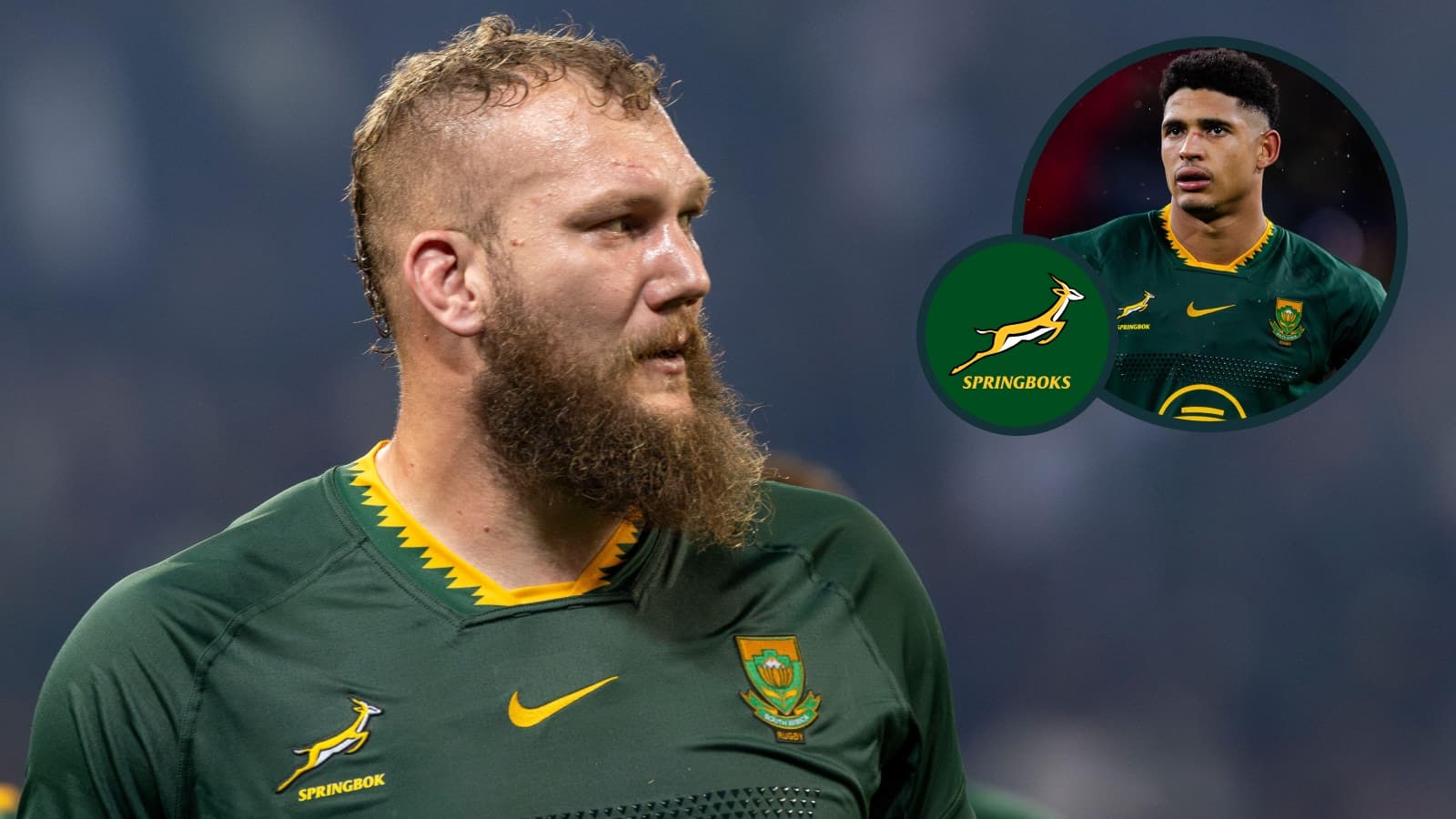 Springboks team winners & losers: Rassie, Sacha, Snyman, Pollard