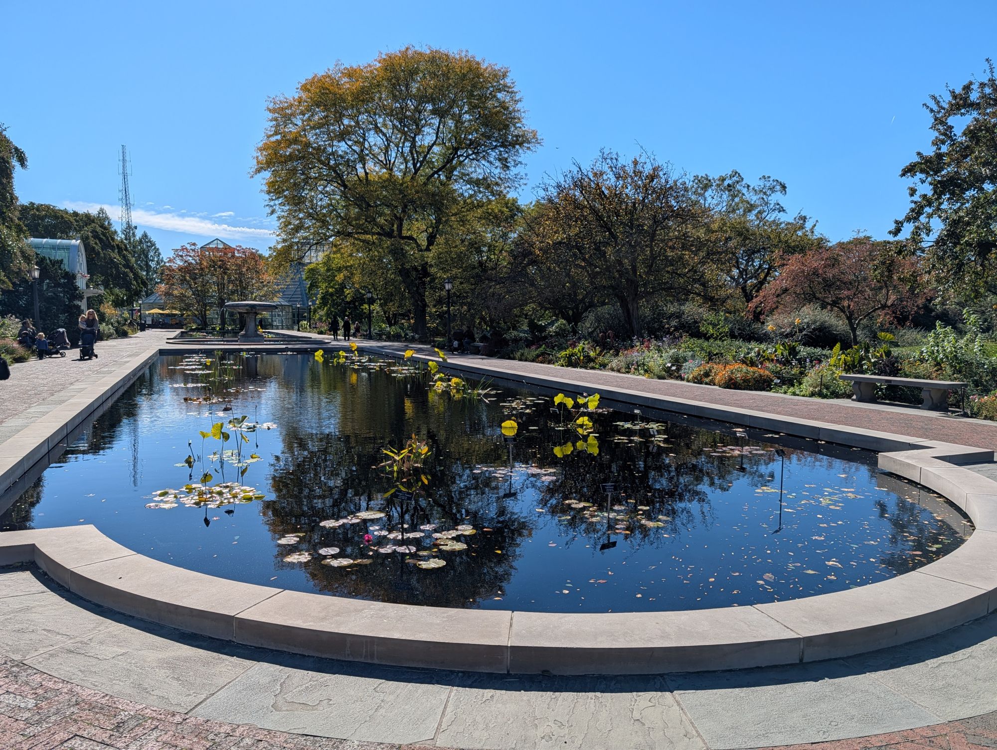 Google Pixel 10 Pro XL dynamic range sample.