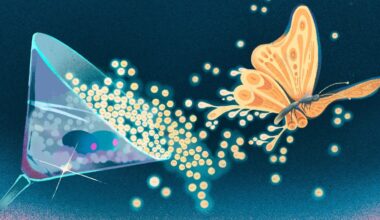 The ‘10 Martini’ Proof Connects Quantum Mechanics With Infinitely Intricate Mathematical Structures