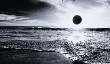 The Reticent - please Review