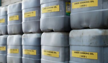 120 pigs per car: oil lobby’s EU biofuels loophole could see…