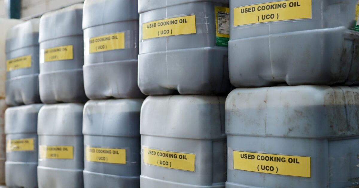 120 pigs per car: oil lobby’s EU biofuels loophole could see…