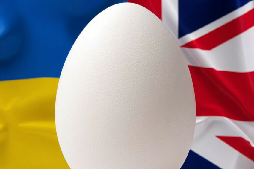 It is reported that the UK ranked second among the largest export markets for Ukrainian eggs in 2025. Photo: This image was created with the help of AI (Reve.art)
