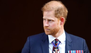 Prince Harry Has Reasons Behind Coaxing His Sisters To Move to US — Source