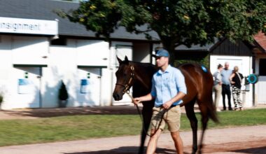 Europe’s Leading Sales Companies Announce New Agreement