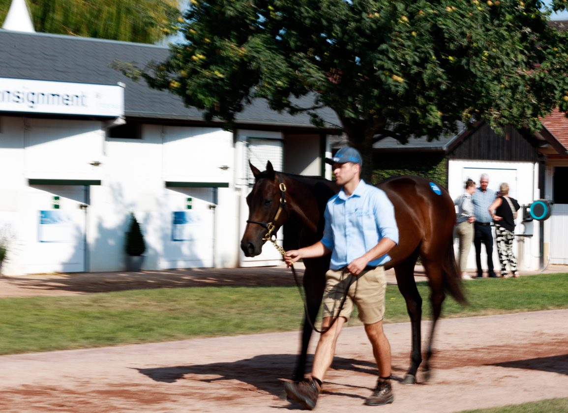 Europe’s Leading Sales Companies Announce New Agreement