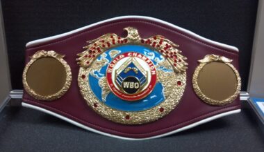 WBO and IBF planning convention in opposition to Zuffa Boxing