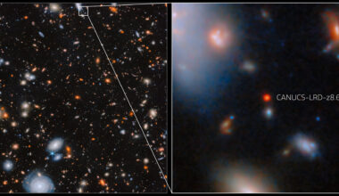 Webb: CANUCS-LRD-z8.6 in MACS J1149.5+2223