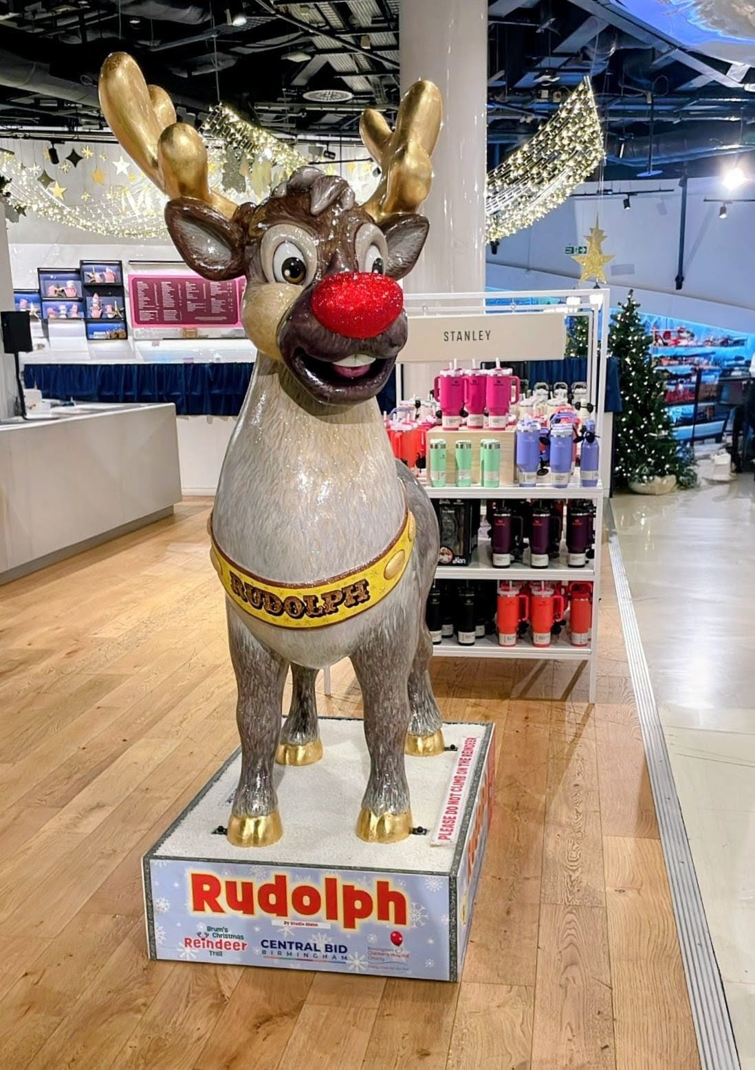 Rudolph on the reindeer trail