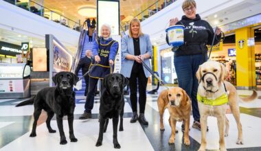 White Rose seeks accessibility feedback this Purple Tuesday