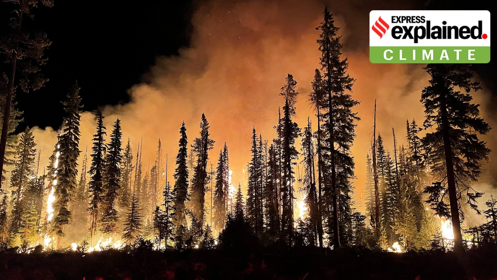 Wildfire at Lick Creek, Umatilla National Forest, Oregon, United States, 2021. (Wikimedia Commons)