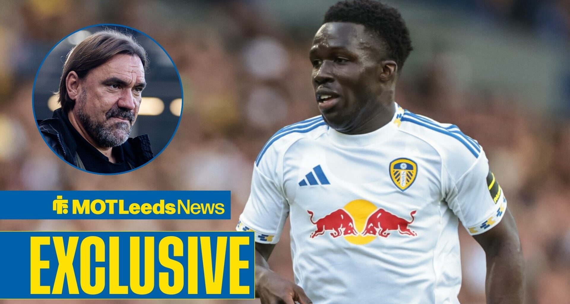 Leeds United receive new Willy Gnonto update as injury expert shares true extent of latest lay-off