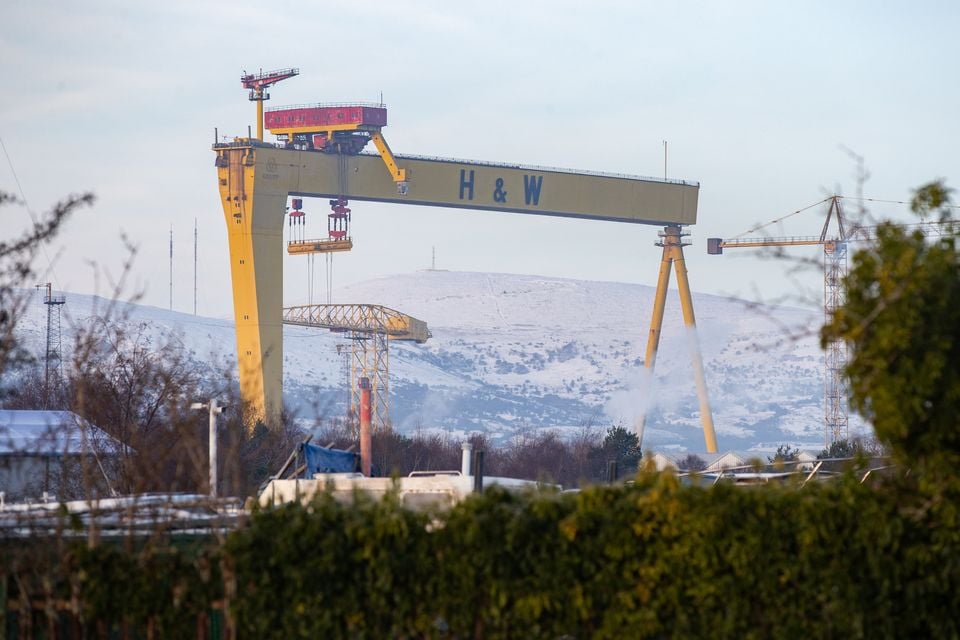 Snow on Belfast Hills (Luke Jervis)