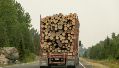 Canada's economy blows past estimates for Q3 growth, in 'very noisy report'