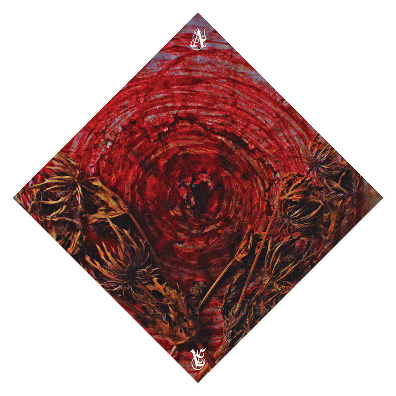 best metal albums of 2025 - Ainsoph