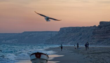 EU naval force secures tanker after pirate attack off coast of Somalia | Shipping News