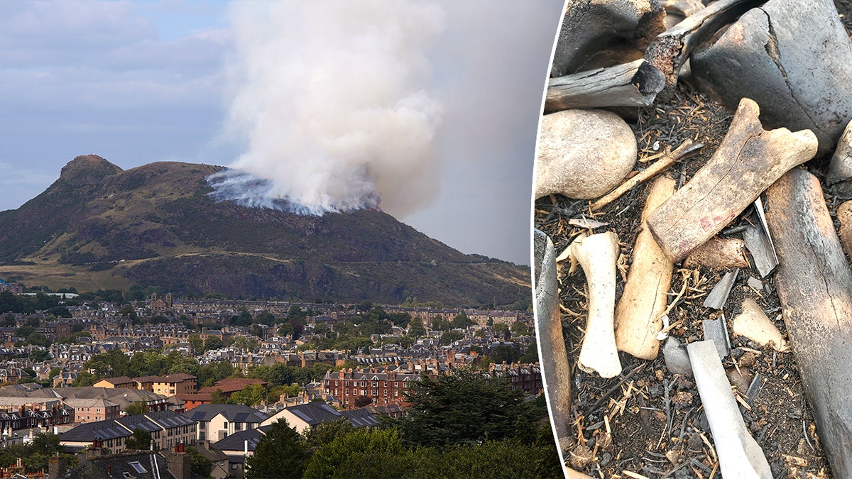 Split image of Arthur's Seat on fire, mysterious bones