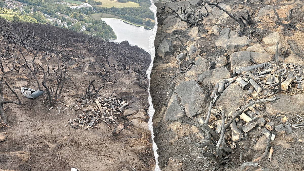 Split image of burned landscape, mysterious bones