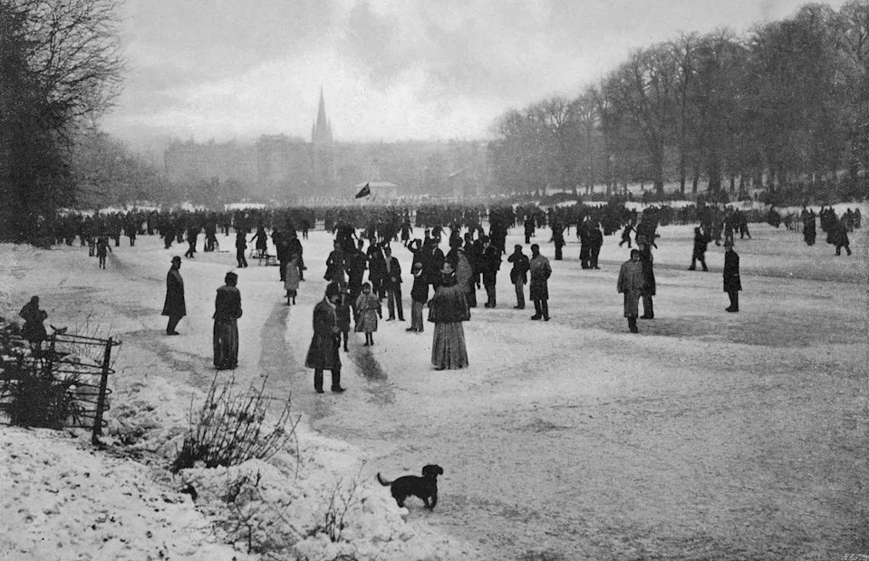 <p>Chronicle/Alamy Stock Photo</p>