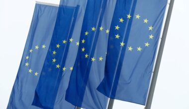 European banks increase reliance on US dollar funding, EU regulator finds