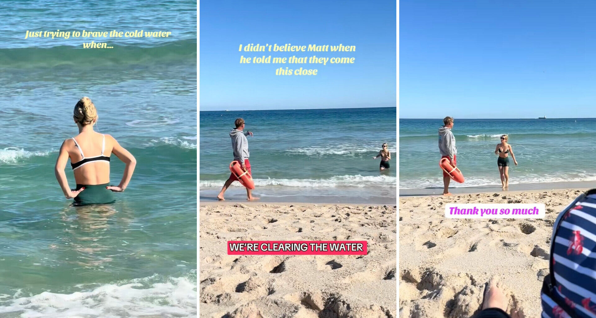 A beachgoer almost had a dangerous encounter with a shark, but a quick-thinking lifeguard prevented a disaster.