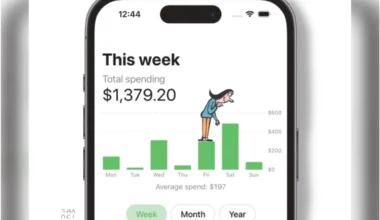 Getting insights into my spending patterns, rather than simply tracking expenses, proved a fruitful exercise.