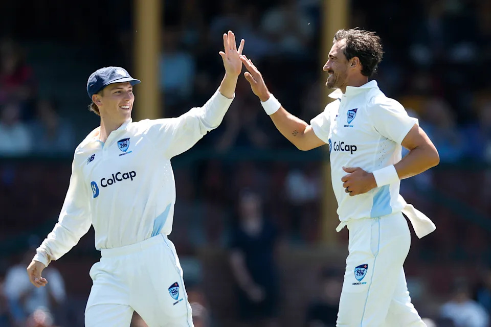 Mitchell Starc celebrates a wicket.