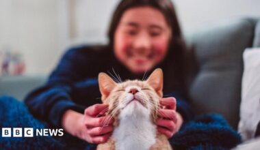 Young 18 year old man sits in the passenger seat of a black VW car, his arm resting on the open window as he looks to camera