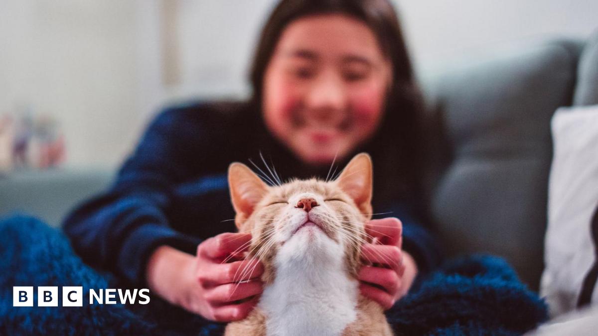 Young 18 year old man sits in the passenger seat of a black VW car, his arm resting on the open window as he looks to camera
