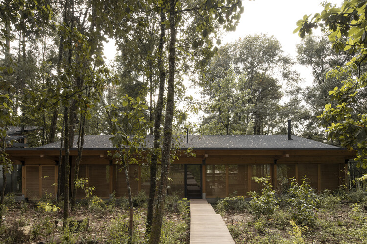 House in the Forest / Vasconcelos Arquitectura + Espacio Tangible - Image 1 of 27