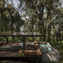 © Camila Cossio House in the Forest / Vasconcelos Arquitectura + Espacio Tangible - Image 5 of 27