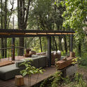 © Fabián Martínez House in the Forest / Vasconcelos Arquitectura + Espacio Tangible - Image 2 of 27