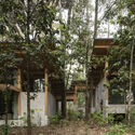 © Fabián Martínez House in the Forest / Vasconcelos Arquitectura + Espacio Tangible - Exterior Photography, Wood, Forest