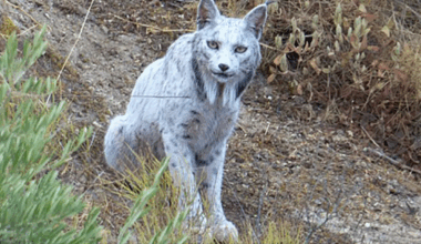 Screengrab from the video.