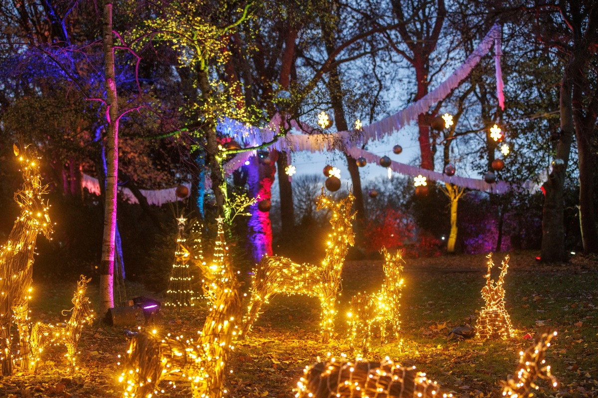 Light installation at Royal Hospital Chelsea's light trail.